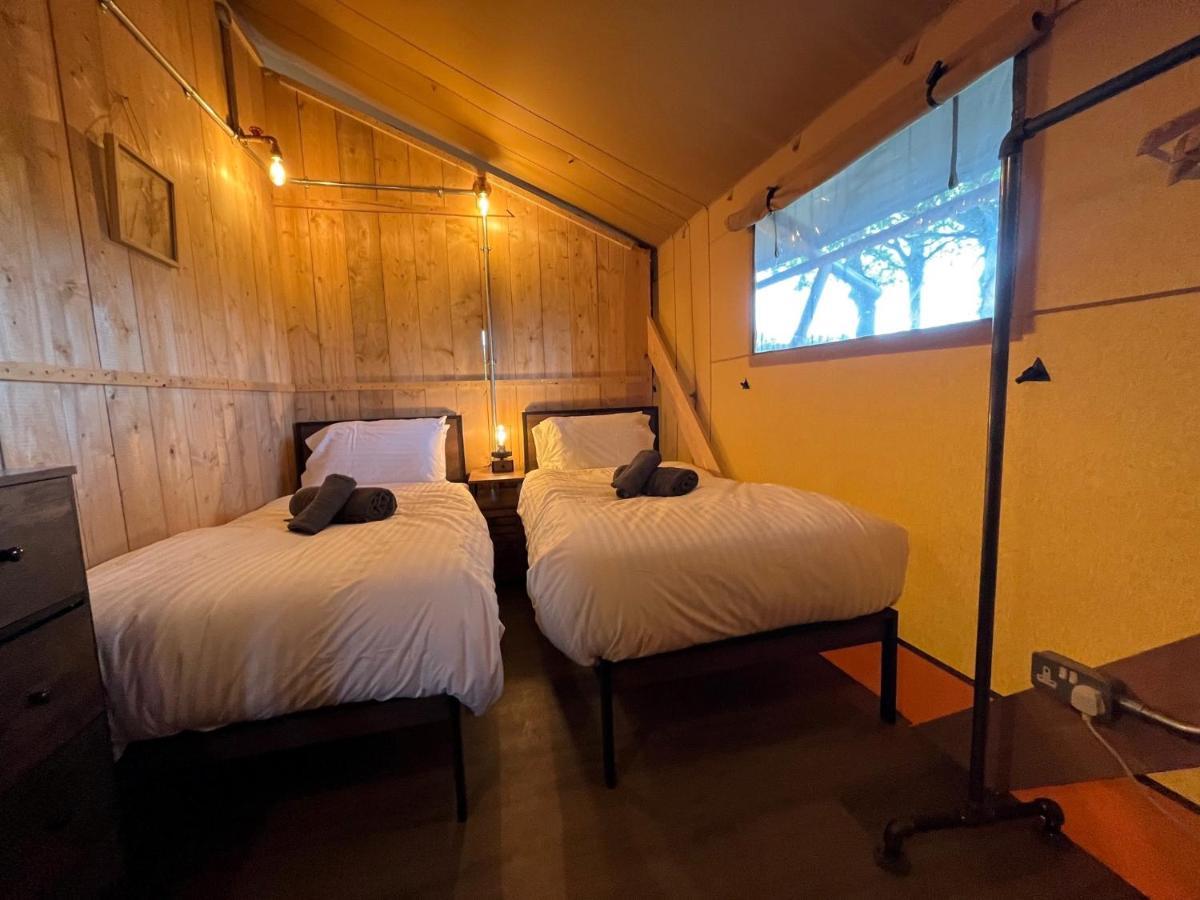 Aladdin Safari Tent Tenby Eksteriør bilde